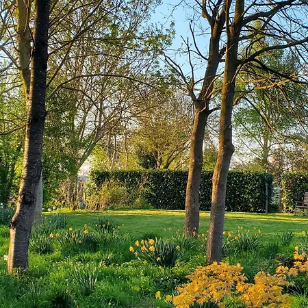 Le Jardin Des Papillons, Et D'hotes A Fraimbault לינה וארוחת בוקר Saint-Fraimbault-sur-Pisse