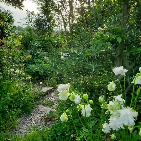 Le Jardin Des Papillons, Et D'hotes A Fraimbault 3*
