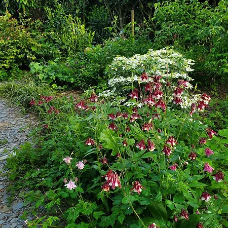 Le Jardin Des Papillons, Et D'hotes A Fraimbault 3* Saint-Fraimbault-sur-Pisse