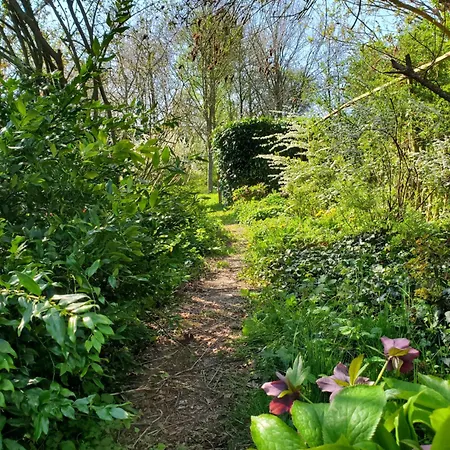 Le Jardin Des Papillons, Et D'hotes A Fraimbault 3*