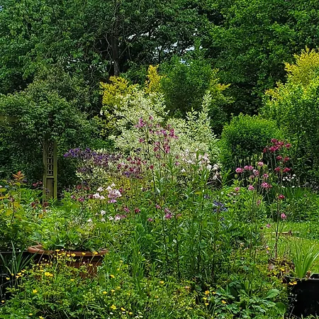Le Jardin Des Papillons, Et D'hotes A Fraimbault לינה וארוחת בוקר *