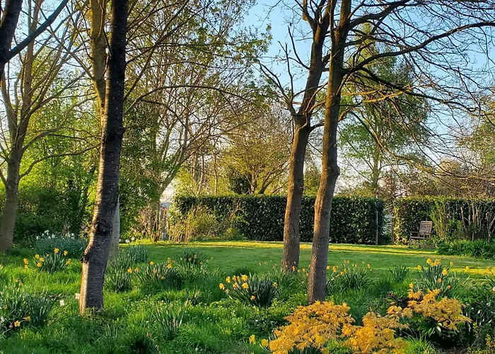 Le Jardin Des Papillons, Et D'hôtes à Fraimbault Bed & Breakfast Saint-Fraimbault-sur-Pisse