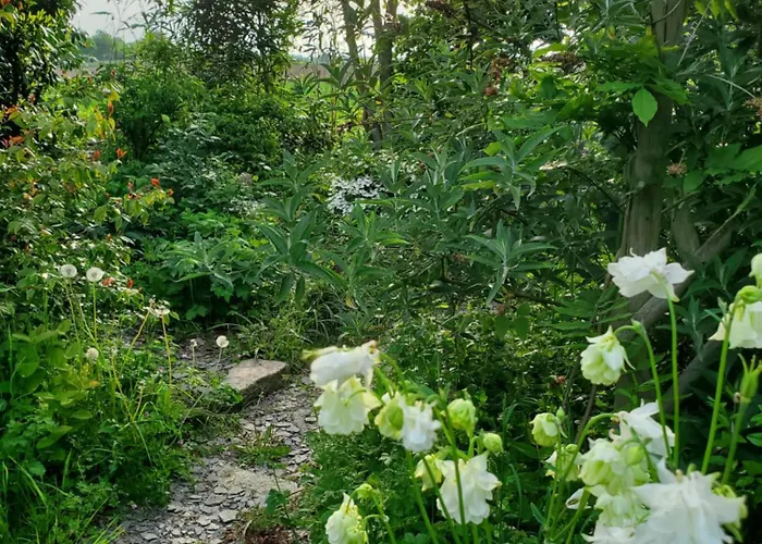 Le Jardin Des Papillons, Et D'hôtes à Fraimbault 3*