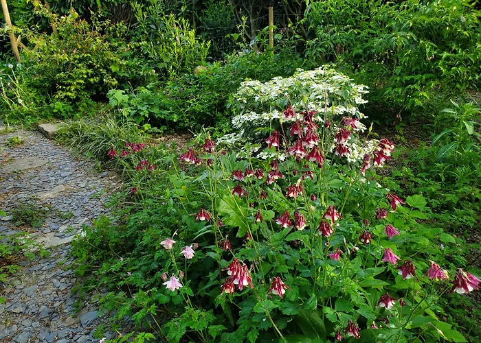 Le Jardin Des Papillons, Et D'hôtes à Fraimbault 3* Saint-Fraimbault-sur-Pisse