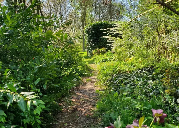 Le Jardin Des Papillons, Et D'hôtes à Fraimbault 3*