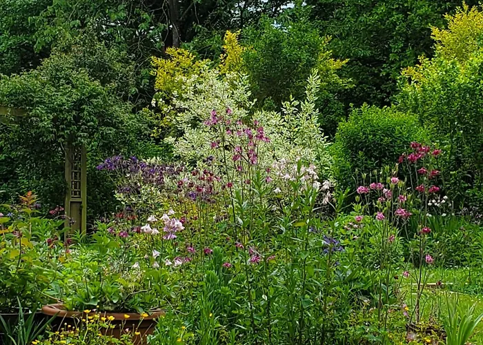 Le Jardin Des Papillons, Et D'hôtes à Fraimbault Bed & Breakfast 3*